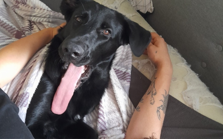 Zbiórka Testosteron oczekiwanie na rente - zdjęcie główne