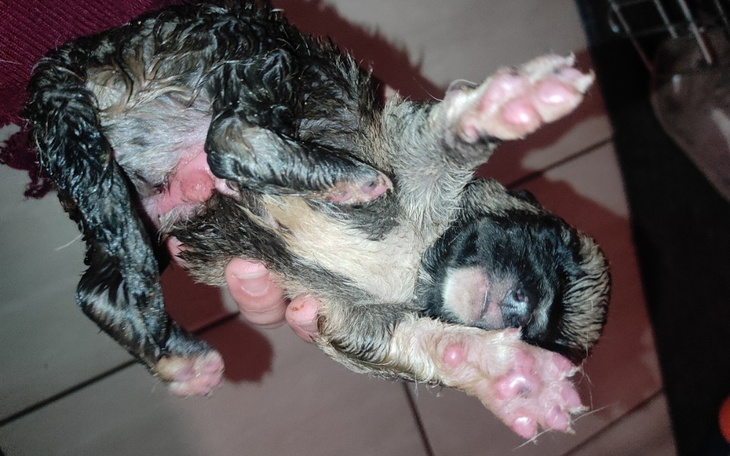 Zbiórka Nic nie dzieje się bez przyczyny - zdjęcie główne