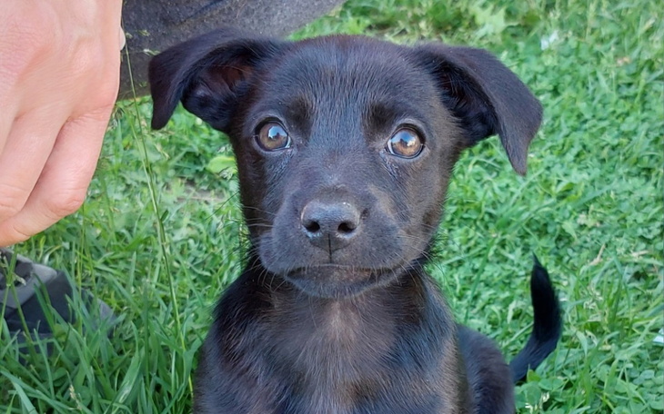 Zbiórka Transport- po nowe, lepsze życie - zdjęcie główne