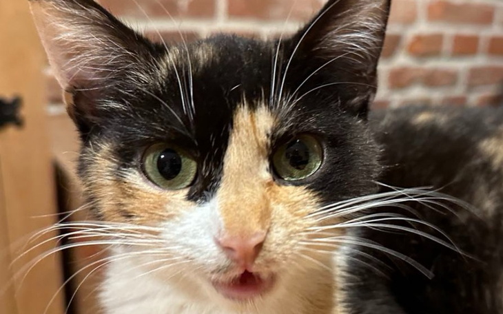 Zbiórka Na przetrwanie lipca 2024 - zdjęcie główne