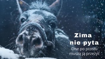 Zbiórka One nie mogą prosić. - miniaturka zdjęcia