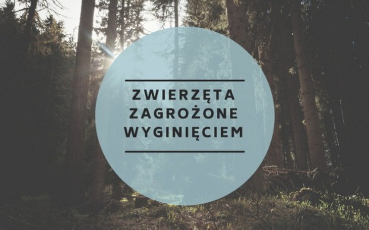 Zbiórka Pomoc zwierzętą/wyginięciem - zdjęcie główne