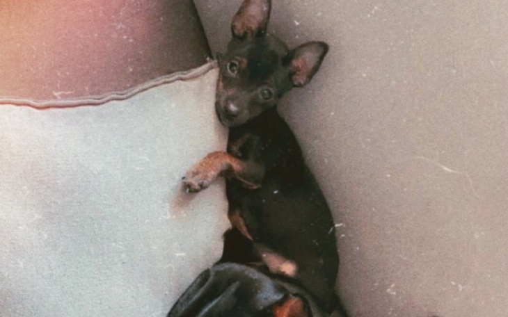 Zbiórka Operacja dla Kiary 9 - zdjęcie główne