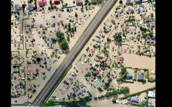 Zbiórka Dla powodzian czyli dla zwierząt - zdjęcie główne
