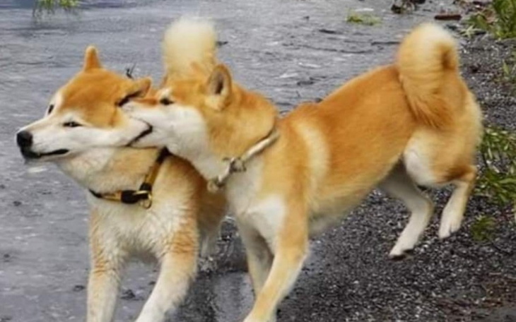 Zbiórka ważne - zdjęcie główne