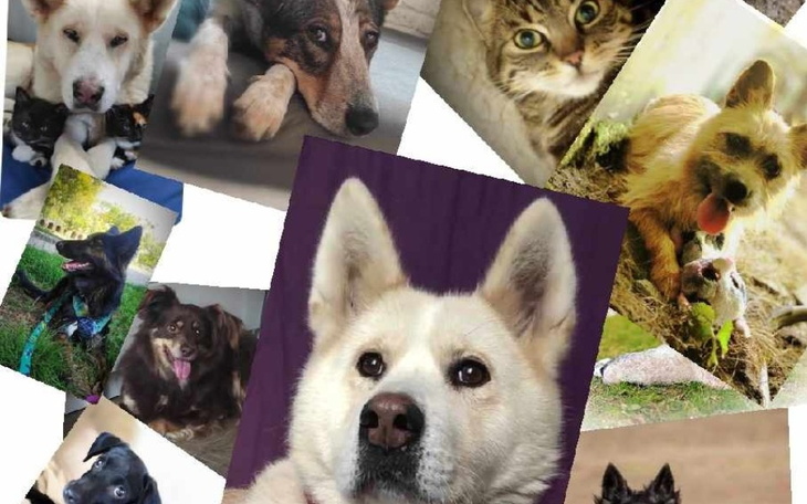 Zbiórka PRZYSTANEK u Marty... - zdjęcie główne