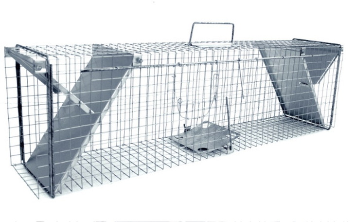 Zbiórka Zakup żywołapki - zdjęcie główne