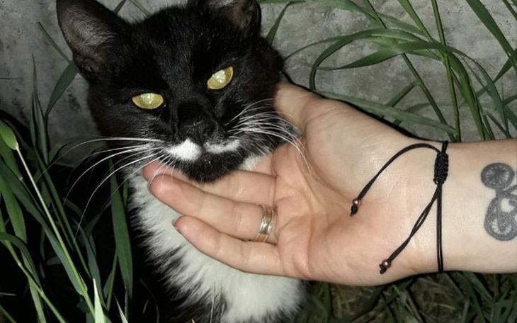 Zbiórka Operacja dla Hrabiego - zdjęcie główne