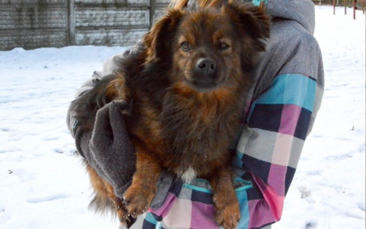 Zbiórka Znaleziony na szosie Maniek - zdjęcie główne