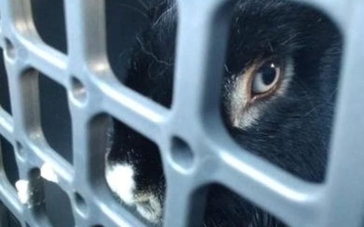 Zbiórka By żyć godnie - pomożesz? - zdjęcie główne