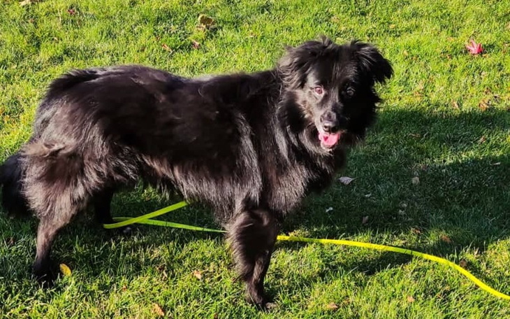 Zbiórka Pilne last minute dla Miśka - zdjęcie główne