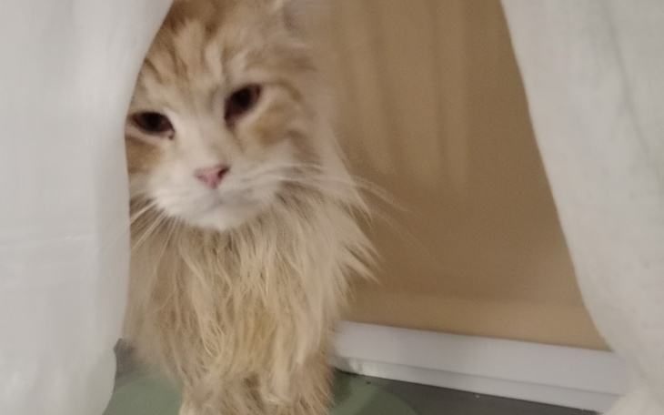 Zbiórka Zbiórka na Marcelka - zdjęcie główne