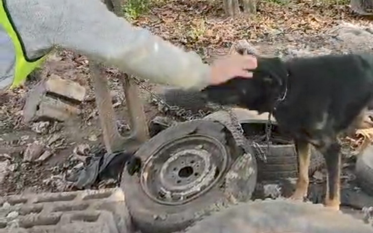 Zbiórka Na ratunek podopiecznym - zdjęcie główne