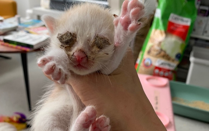 Zbiórka Walka z bezdomnością - zdjęcie główne