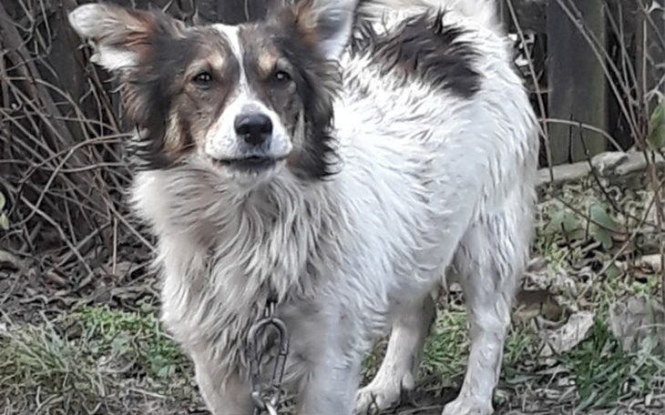 Zbiórka Śpią pod wiatą NA STERCIE ŚMIECI - zdjęcie główne