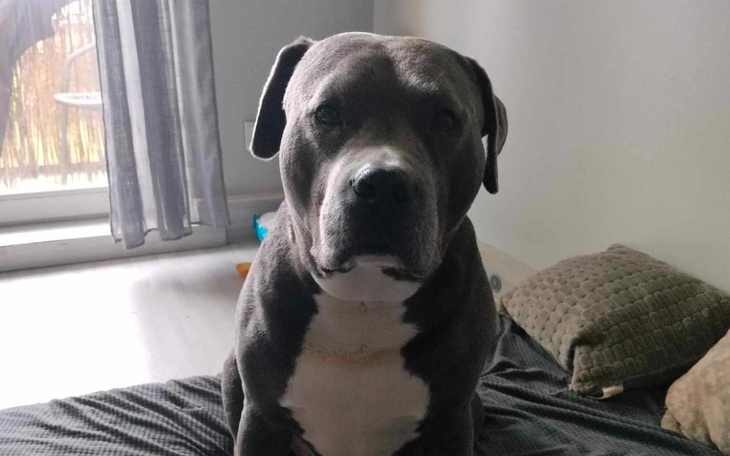 Zbiórka Uratujmy Drago - zdjęcie główne