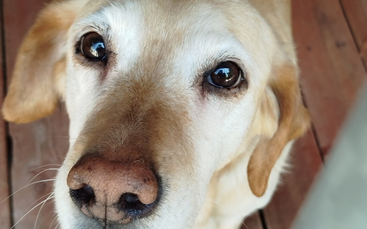 Zbiórka Na pomoc Atenie - zdjęcie główne
