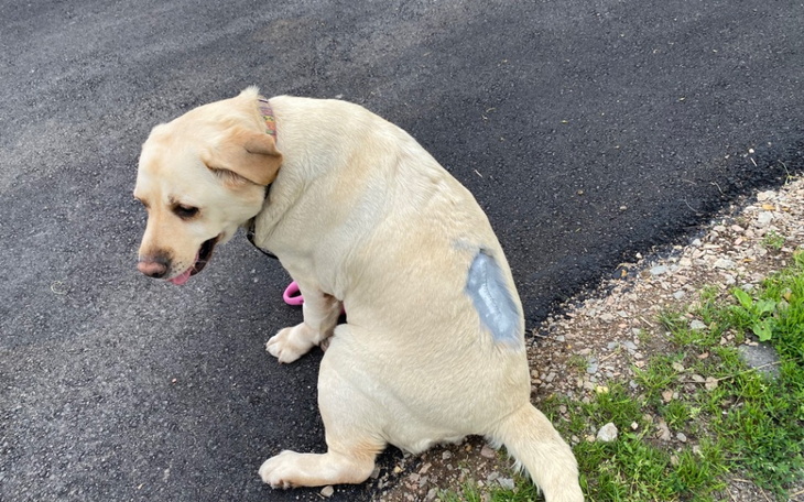 Zbiórka Niechciana maszynka do pieniędzy - zdjęcie główne