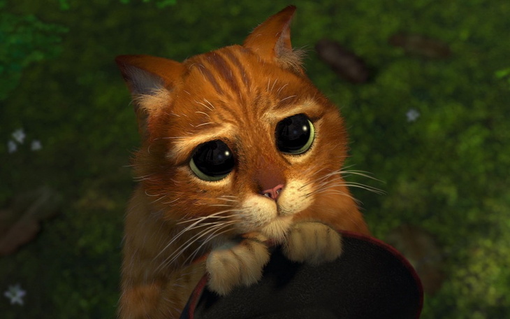 Zbiórka Pomoc w edukacji studenta - zdjęcie główne