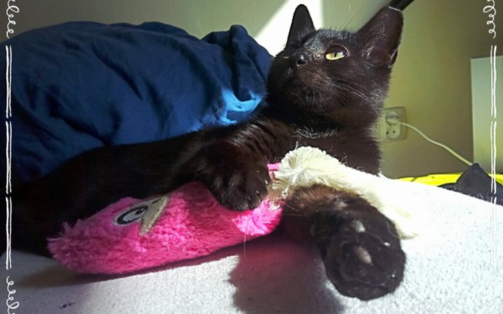 Zbiórka Pomóżmy normalnie oddychać Kassi - zdjęcie główne