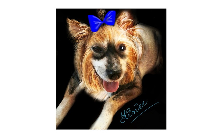 Zbiórka Zbieram na operację plastyczną2 - zdjęcie główne