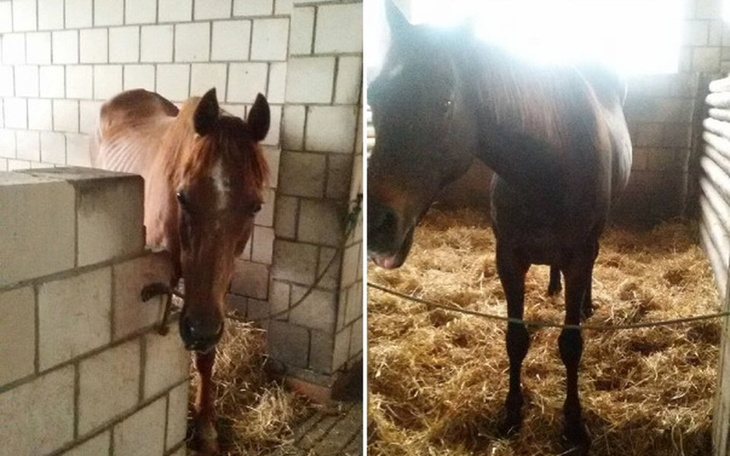 Zbiórka Dwa staruszki proszą o życie - zdjęcie główne