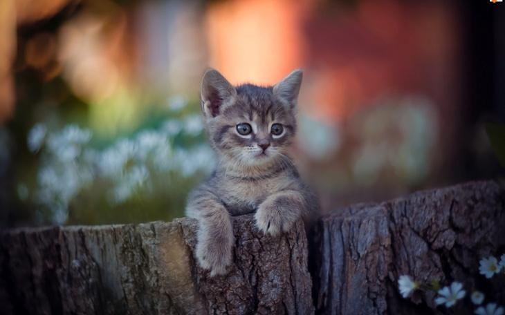 Zbiórka Na rachunek za wode - zdjęcie główne