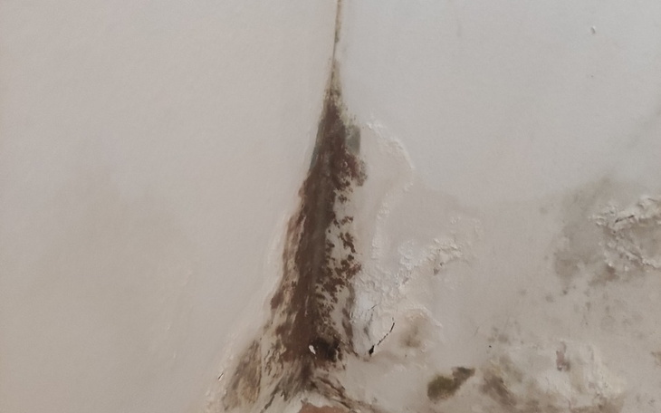 Zbiórka Remont pokoju odświeżenie - zdjęcie główne