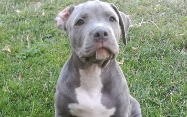 Zbiórka Brakuje ... - zdjęcie główne