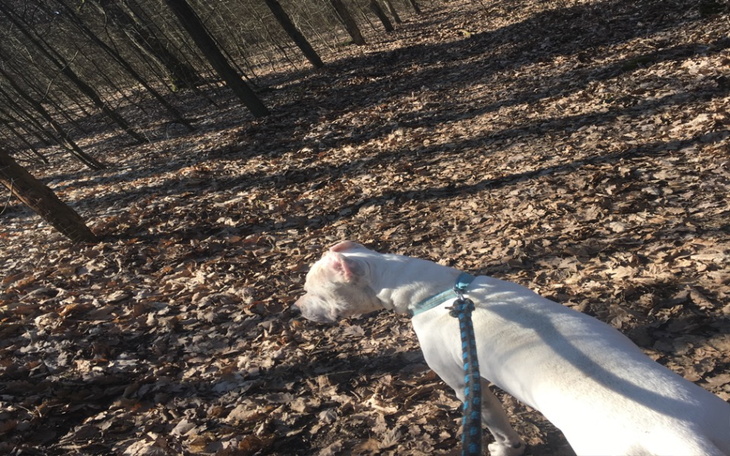 Zbiórka Dajcie mi druga szanse proszę - zdjęcie główne