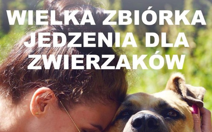 Zbiórka Logistyka dla psów ze schroniska - zdjęcie główne