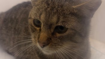 Zbiórka Nowy start dla Mietka - miniaturka zdjęcia