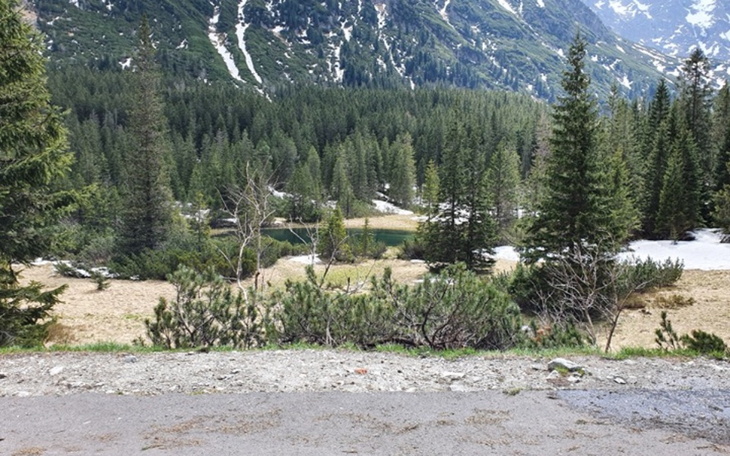Zbiórka Zakopane - zdjęcie główne