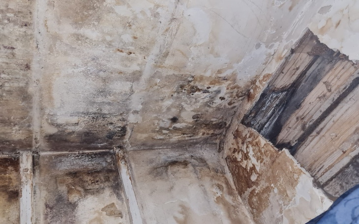 Zbiórka Dołóż Swoją Cegiełkę - Ocal Dom - zdjęcie główne