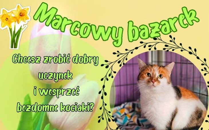 Plakat promujący bazarek dla bezdomnych kotów.