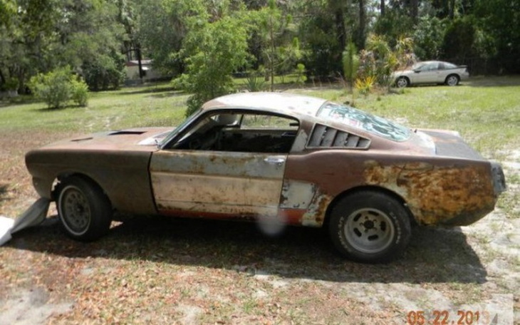 Zbiórka Mustang! - zdjęcie główne