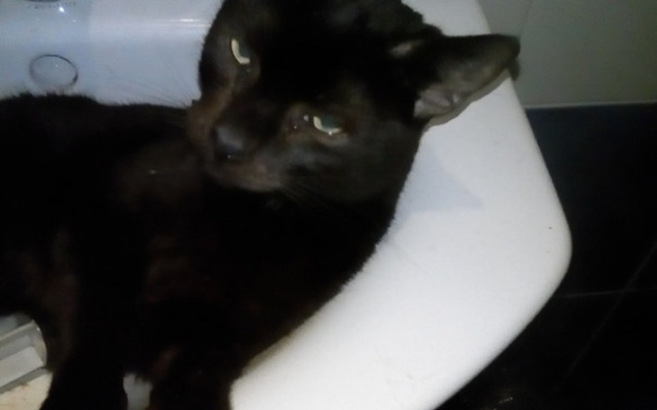 Zbiórka Uratowany z piekła - zdjęcie główne