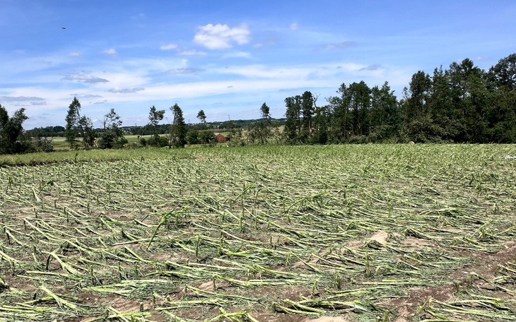 Zbiórka Pomoc po GRADOBICU - zdjęcie główne