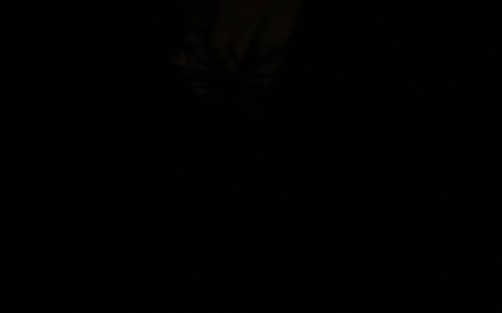 Zbiórka Moja sunia ma raka - zdjęcie główne