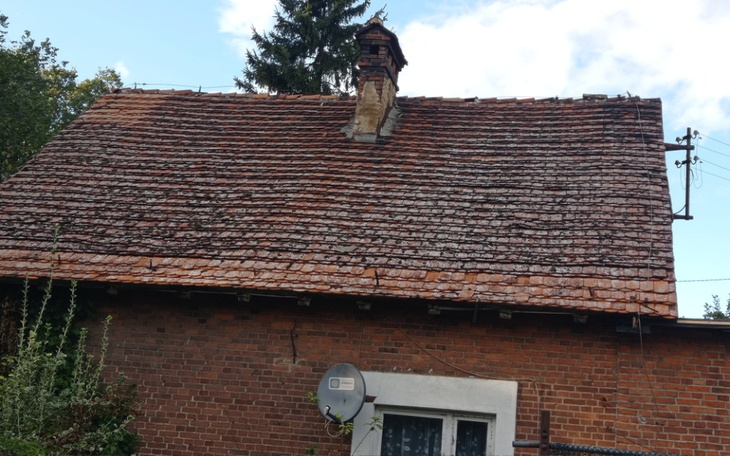 Zbiórka Pomóż Nam wyremontować dom Zosi - zdjęcie główne