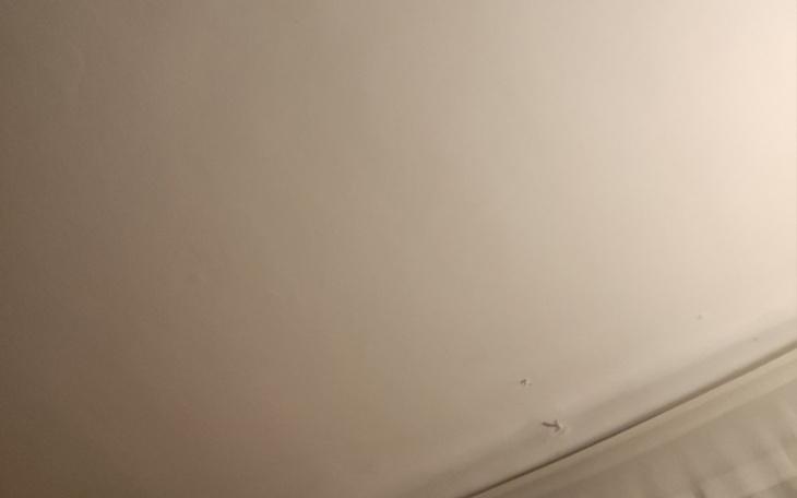 Zbiórka Dla Julii z stwardnieniem rozsia - zdjęcie główne