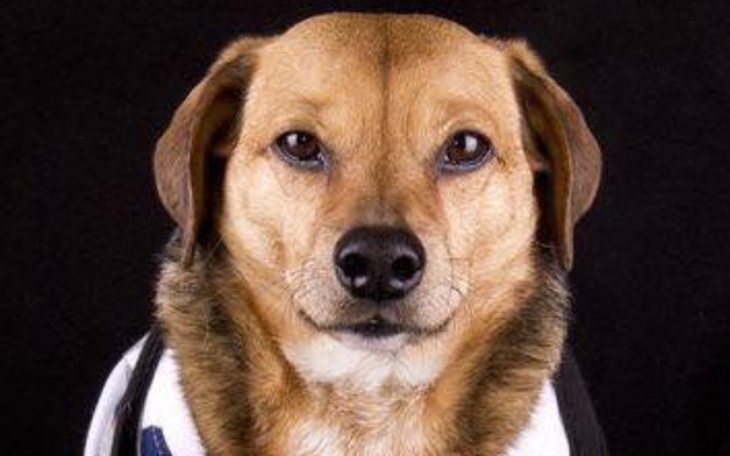 Zbiórka Rodzeństwo zasługuje na szanse! - zdjęcie główne