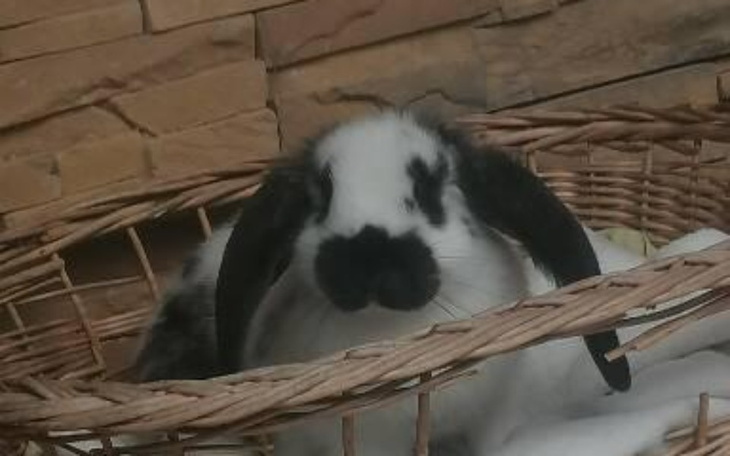 Zbiórka Na spełnienie pasji muzycznych - zdjęcie główne