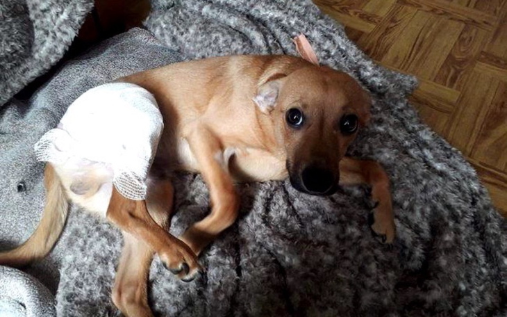 Zbiórka Uratuj Diego lekarstwami - zdjęcie główne