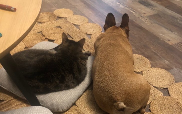 Zbiórka Tak blisko, a jednak tak daleko - zdjęcie główne