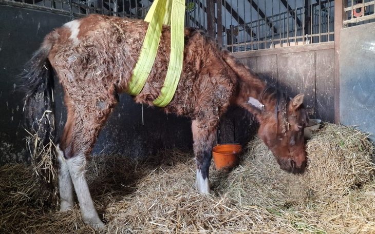 Zbiórka Tak polski rolnik dba - zdjęcie główne