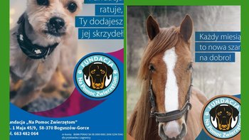 Zbiórka Kalendarze 2026 - miniaturka zdjęcia