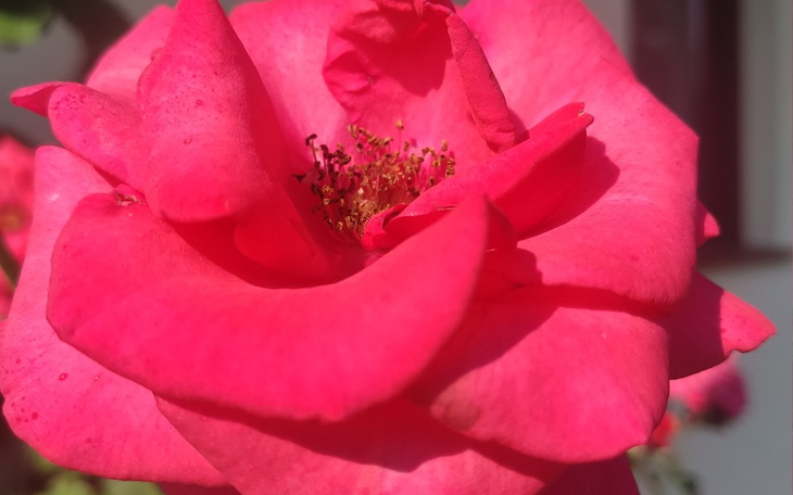 Zbiórka Wyposażenie klasy w szkole - zdjęcie główne