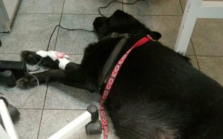 Zbiórka Niestety walkę przegraliśmy :( - zdjęcie główne