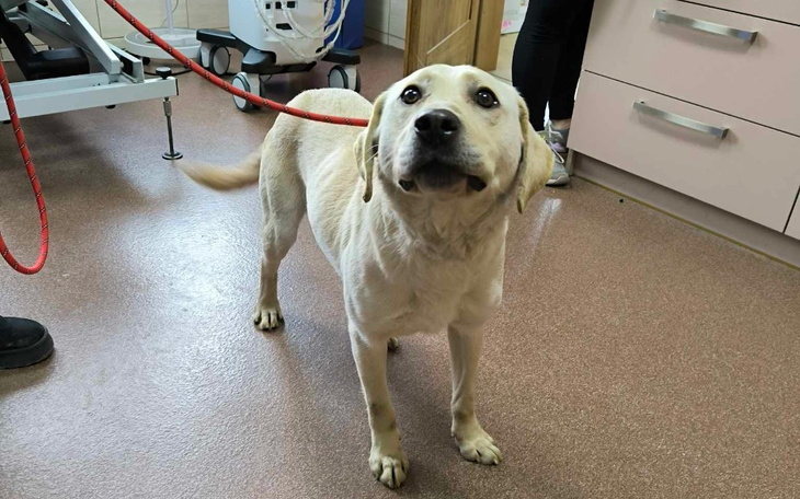 Zbiórka Ofiara zwyrodnialca... - zdjęcie główne